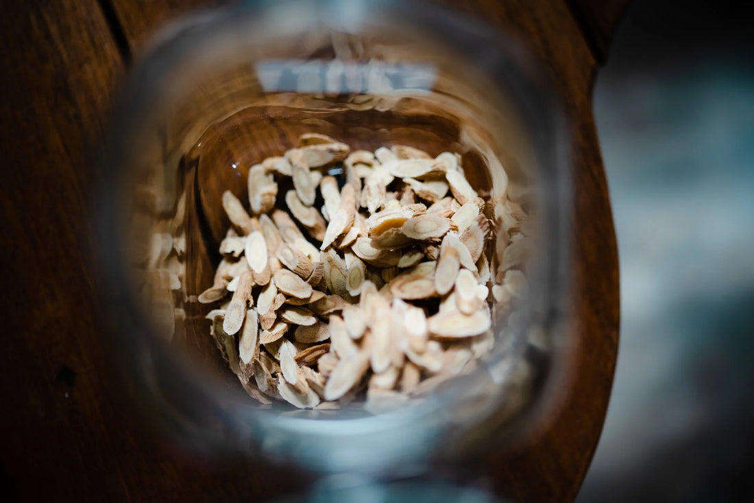 Huang Qi | Astragalus